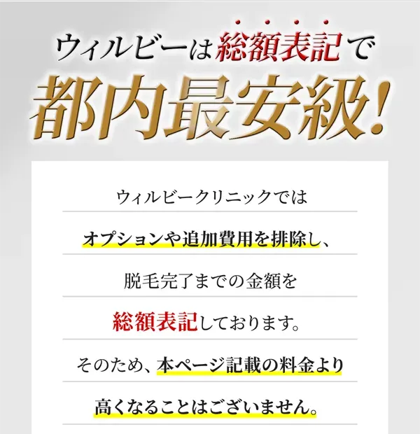 ウィルビーは総額表記で都内最安級