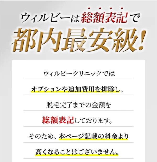 ウィルビーは総額表記で都内最安級